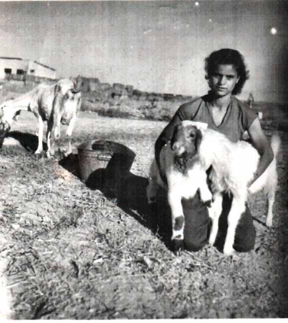 Shuli's Mom and the Paprika Farm