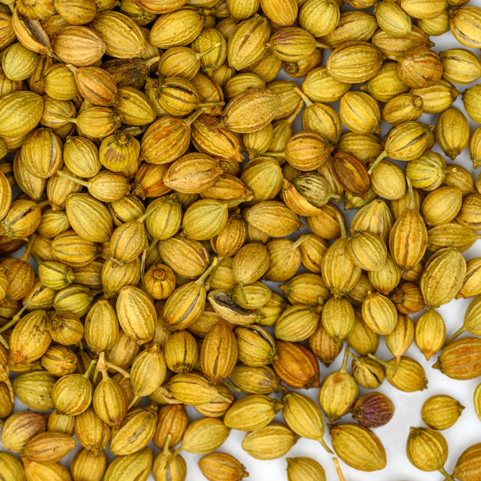 A close-up of Whole Spice Inc. Coriander Seed Whole Indian scattered on a white surface, highlighting their round, ridged, light brown to yellowish seeds—a staple for tangy flavor in authentic Indian dishes.