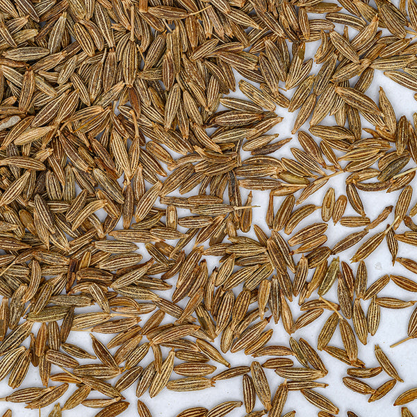 A close-up of Whole Spice Inc. Cumin Seeds scattered on a white surface, highlighting this versatile spice known for adding depth and warmth to savory dishes.