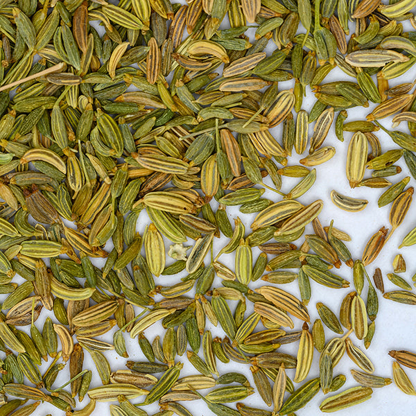 Fennel Seeds