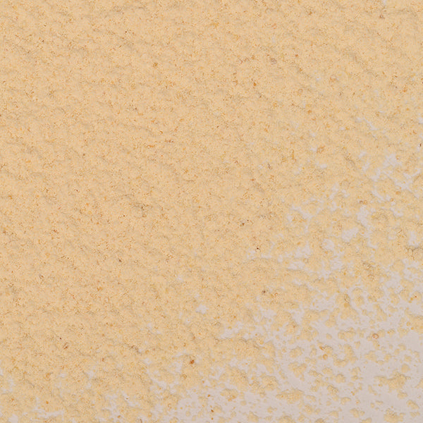 Close-up of Whole Spice Inc. Garlic Powder Organic—light yellow, finely ground with a slightly uneven texture—scattered across a flat surface.
