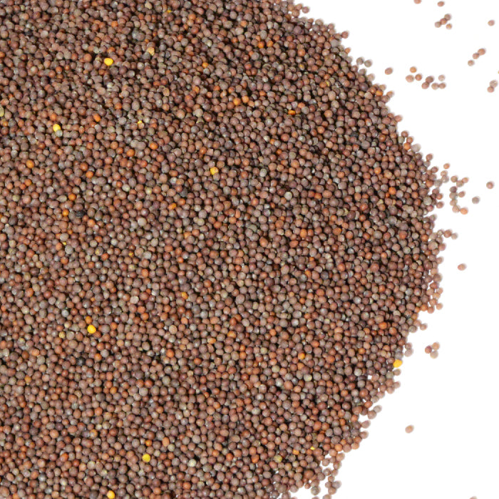 Brown Mustard Seed Whole Whole Spice, Inc.