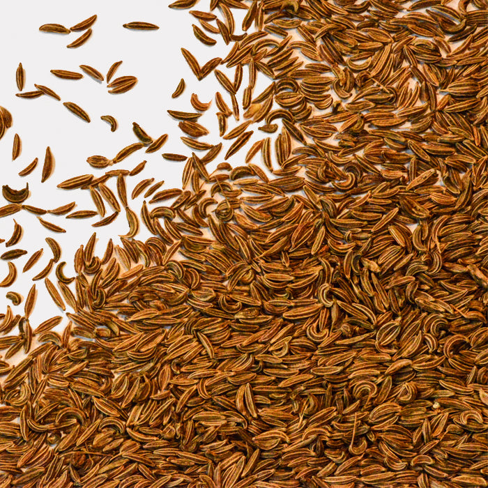 Close-up of Whole Spice Inc. Caraway Seeds scattered on a white background, with most seeds grouped in the lower right and a few spread toward the upper left.