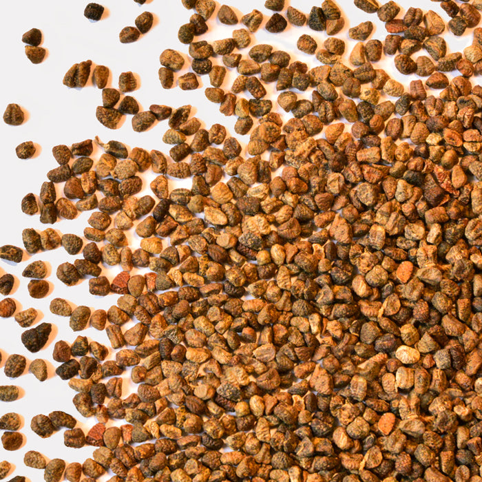 A close-up view of many small, brown and tan granules scattered on a white surface, resembling Cardamom Seeds by Whole Spice Inc., often used in Indian recipes.