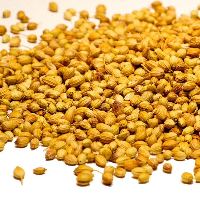 A close-up of Whole Spice Inc. Coriander Seed Whole Indian scattered on a white surface, ready to enhance authentic Indian dishes with their distinctive tangy flavor.