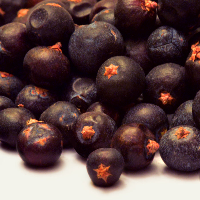 A close-up of Whole Spice Inc. Juniper Berries Organic, dark purple with reddish caps, scattered on a white surface and valued in Scandinavian cuisine for their unique pine-like flavor.