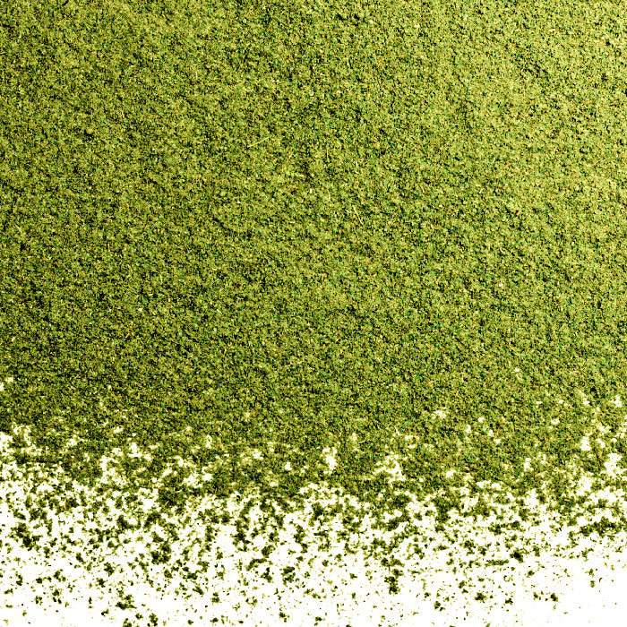A close-up of Whole Spice Inc. Mexican Oregano Powder—finely ground and green—scattered unevenly on a white surface, with some particles visible at the bottom.