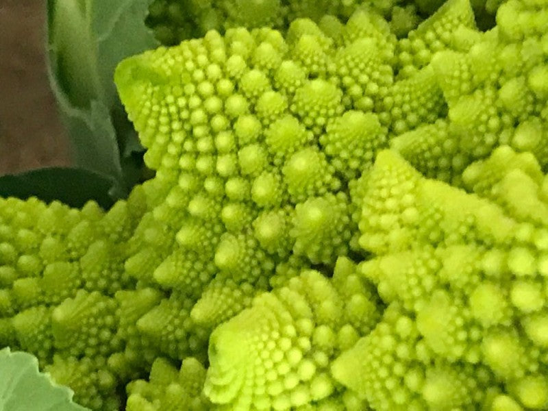 Romanesco Omelet with Ajwain Seeds