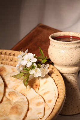 blog-image