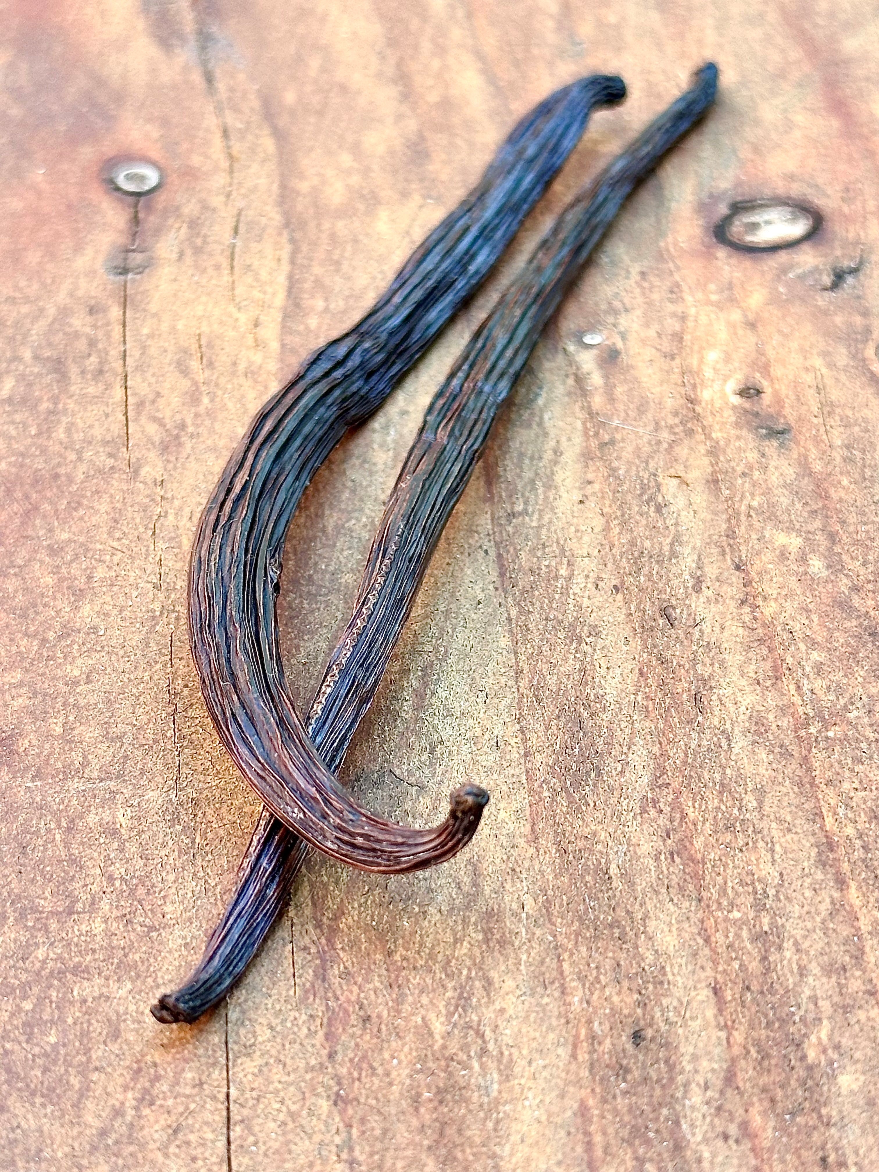 Two Whole Spice, Inc. Vanilla Beans Gourmet Grade are crossed on a wooden surface, displaying their wrinkled, dark brown texture—ideal for baking or crafting homemade vanilla extract.
