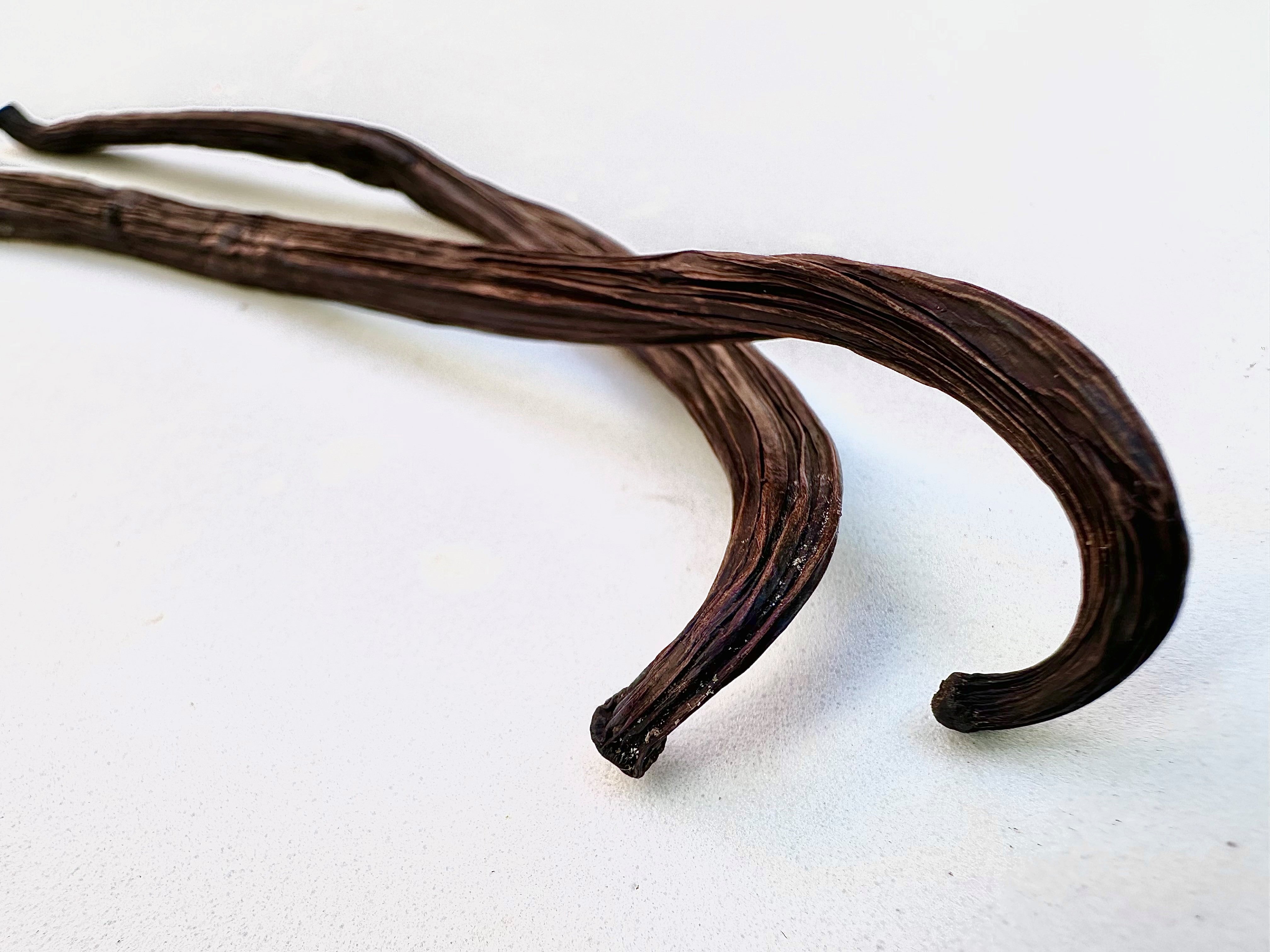 Two dried Vanilla Beans Gourmet Grade by Whole Spice, Inc. with wrinkled surfaces lay on a neutral background—one slightly curved, one straight—ideal for baking or crafting your own vanilla extract.