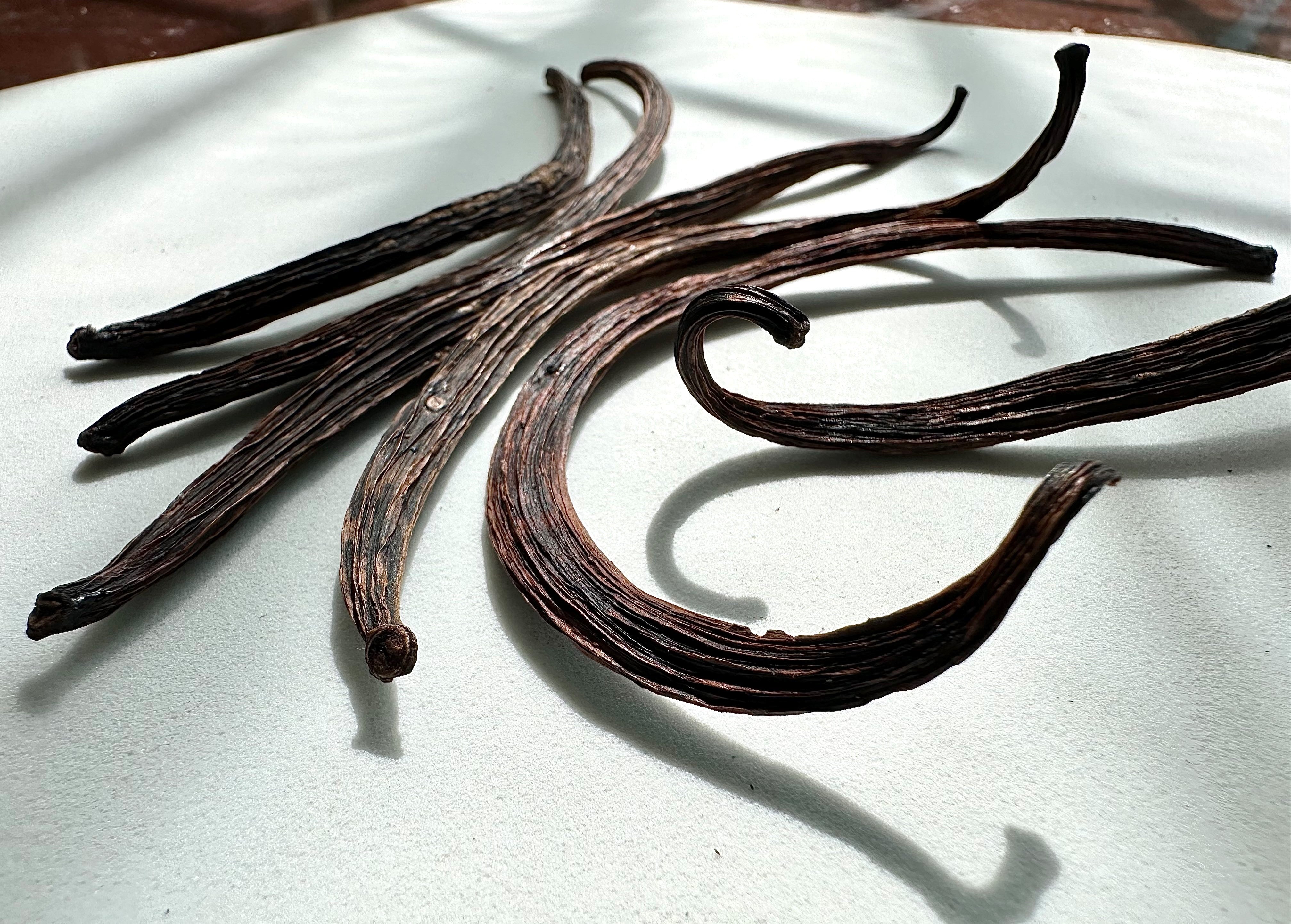Six Vanilla Beans for Grinding from Whole Spice, Inc. rest in sunlight, their curved shadows stretching across a white surface.