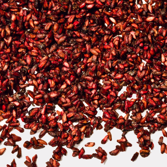 A close-up of Anardana Seed Whole by Whole Spice Inc.—scattered, deep red, and slightly wrinkled seeds—on a white background. Known for their rough texture, these dried pomegranate seeds are commonly used in Indian cuisine.