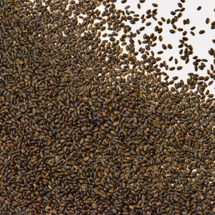 A large pile of small, dark brown Basil Seeds by Whole Spice Inc. is spread across a white surface, with more seeds densely packed at the bottom and gradually scattering towards the top.