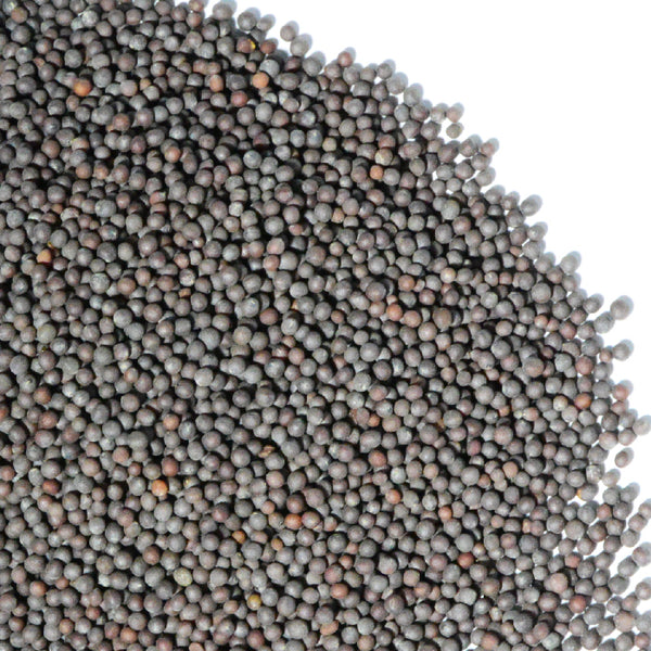 Black Mustard Seed Whole