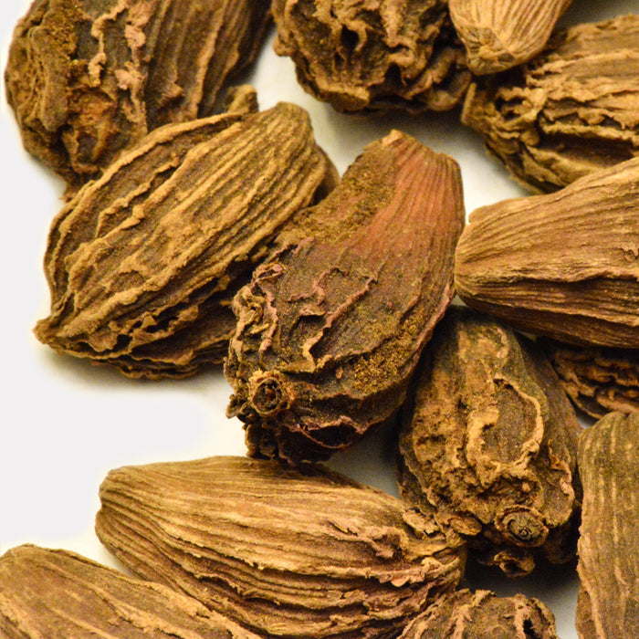 Whole Spice Inc. Black Cardamom Pods, known for their wrinkled, woody brown shells and essential to garam masala, are arranged together on a white background.
