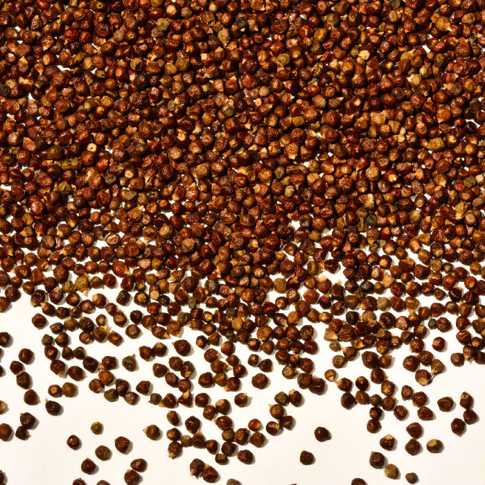 A large number of small, brown Grains of Paradise seeds from Whole Spice Inc. are spread across a white surface, densely packed at the top and more sparsely scattered toward the bottom.