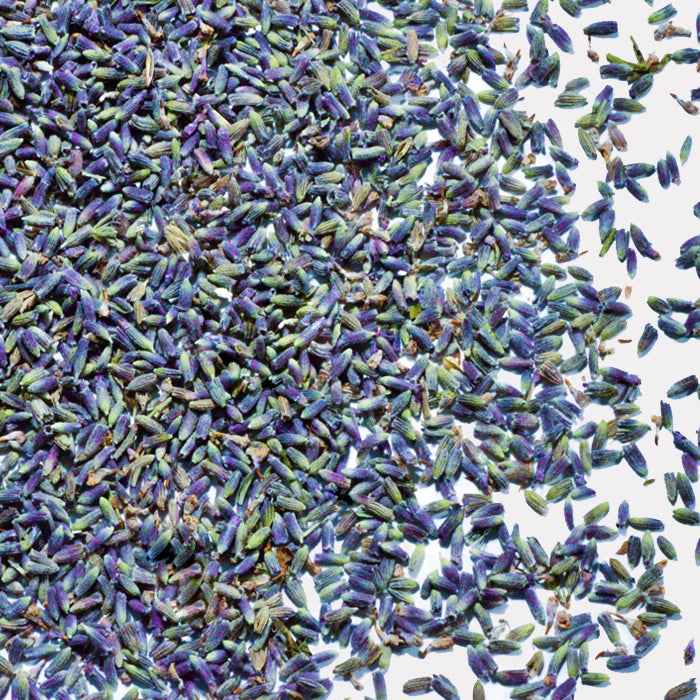 A close-up of Whole Spice Inc. Lavender, showcasing scattered dried purple and green flowers with aromatic, culinary appeal, displayed on a white background.